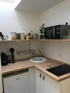 a kitchen counter with a sink and a microwave at Nice T1 in the Clermont Historical Centre in Clermont-Ferrand