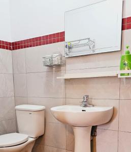 a bathroom with a toilet and a sink at Auntie's Flowers Homestay in Changbin