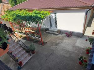 Zahrada ubytování Casa EliAndrei