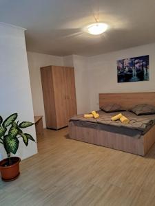 - une chambre avec un grand lit et une plante en pot dans l'établissement Casa EliAndrei, à 2 Mai