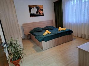 Postel nebo postele na pokoji v ubytování Casa EliAndrei