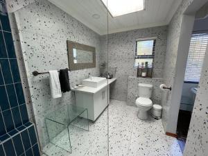 a bathroom with a toilet and a sink and a shower at INBLOEM in Bloemfontein