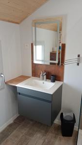 a bathroom with a sink and a mirror at Gîte des Roches in La Chaux-du-Dombief