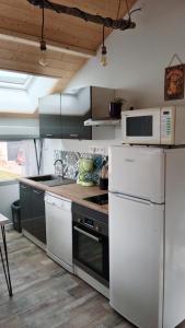 a kitchen with a white refrigerator and a microwave at Gîte des Roches in La Chaux-du-Dombief