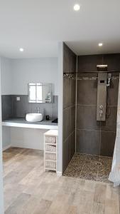 uma casa de banho com um chuveiro e um lavatório. em Gîte des Roches em La Chaux-du-Dombief