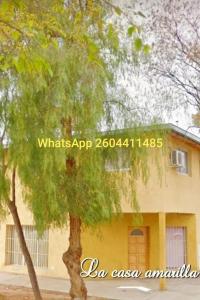 a tree in front of a yellow house at La Casa Amarilla CENTRO in San Rafael