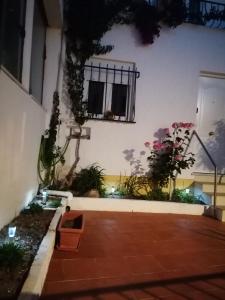 a building with a courtyard with a window and flowers at Cantinho da Familia in Avis