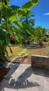 聖弗朗西斯的住宿－Banana EcoLodge，一座种植了绿色树木和石头长凳的花园