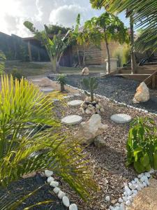 a garden with rocks and plants in a yard at Banana EcoLodge in Saint-François