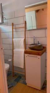 a bathroom with a sink and a toilet at Banana EcoLodge in Saint-François