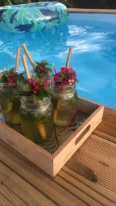聖弗朗西斯的住宿－Banana EcoLodge，游泳池旁的抽屉里放着四瓶带花的石膏罐
