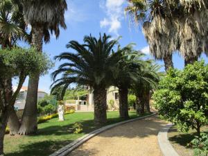 a path through a park with palm trees at les palmiers in Vias