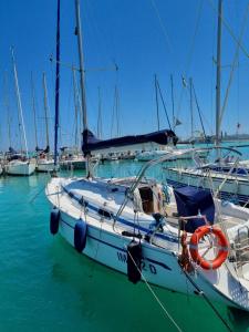 a group of boats docked in a harbor at boat and breakfast in Bari