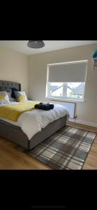 1 dormitorio con 1 cama con ventana y alfombra en Ardean House en Moy