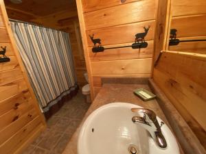 y baño con lavabo, ducha y aseo. en Serenity Creek, en Copperhill