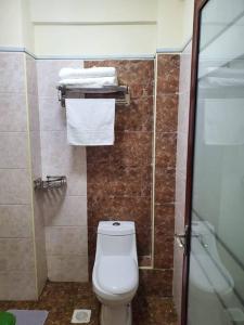 a bathroom with a toilet and a shower and towels at Cozy Studio Stay Kilimani Valley Acarde Area in Nairobi