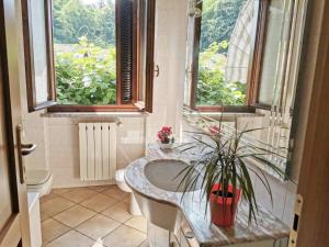 a bathroom with a sink and a toilet and two windows at Il Vecchio Kiwi - House with private garden in Oleggio Castello