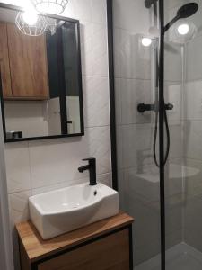 a bathroom with a sink and a shower with a mirror at Kawalerka Łomża in Łomża
