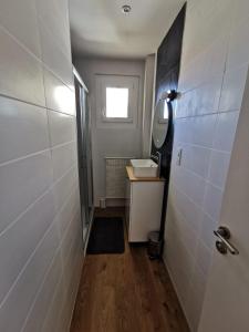 ein kleines Bad mit einem Waschbecken und einem Spiegel in der Unterkunft Magnifique Appartement Esprit Art Déco in Romans-sur-Isère