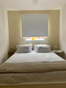 um quarto com uma cama grande e uma janela em Apartamento Sta Maria - Sta Catarina Place em Ponta Delgada