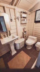 a bathroom with a toilet and a sink at Grant Island Waterfront Cottage Brantingham Lk - Dogs Love - Worlds Raddest Island in Glenfield