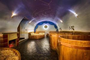Fotografia z galérie ubytovania Spa Beerland Chateaux – U Zlaté Hrušky / At Golden pear v Prahe