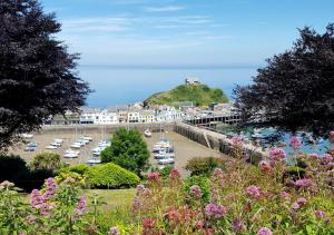 a view of a harbor with boats in the water at Harbour Heights Ilfracombe in Ilfracombe