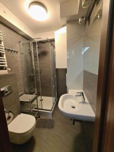 W łazience znajduje się toaleta, umywalka i prysznic. w obiekcie Apartament Baltic C21 w mieście Darłowo