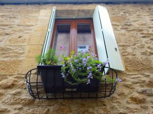 uma janela com um vaso de flores no parapeito da janela em Sarlat Town House, gîte de charme em Sarlat-la-Canéda