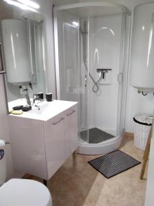 a bathroom with a shower and a sink and a toilet at Hirondelles et mésanges in Fromental