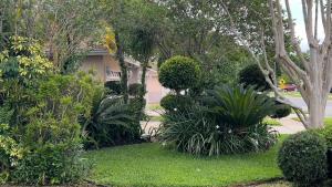 une cour avec des arbres et des plantes devant une maison dans l'établissement Renovated Entire House Heated Pool Close 2 Disney, à Kissimmee