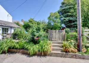 a garden with a wooden fence and some plants at July Cottage in West Down
