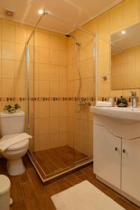 a bathroom with a shower and a toilet and a sink at Theros Home Andros in Andros