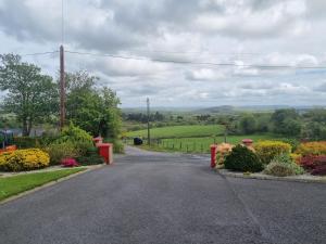 a driveway leading to a garden with flowers at Kelmin House in Letterkenny