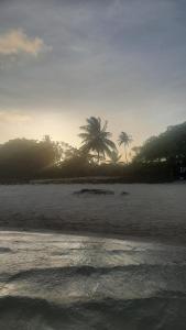 a beach with two palm trees in the distance at Rooftop na lagoa in Jijoca de Jericoacoara