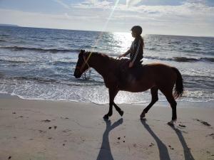 une femme faisant de l'équitation sur la plage dans l'établissement L'oasi del relax Arborea, à Arborea