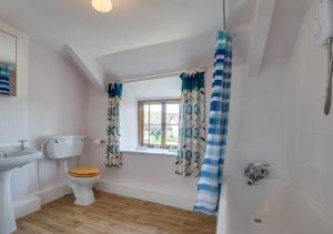 a bathroom with a toilet and a sink and a window at Waterside Cottage Westleigh in Westleigh