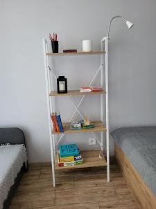 Knihovna v apartmánu