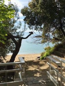 パレオ・ティフリキにあるSecret Bayの木の横の浜辺に座るベンチ