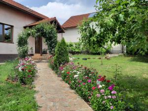 a garden of flowers in front of a house at Vintage and cozy room, free parking, shared house in the small quiet village in Alba Iulia