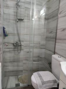 ein Bad mit einer Dusche, einem WC und einem Waschbecken in der Unterkunft Pegasus cosy house in Athen