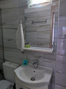 ein Badezimmer mit einem Waschbecken, einem WC und einem Spiegel in der Unterkunft Pegasus cosy house in Athen