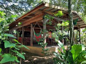 a house in the middle of a forest at Mombacho Lodge in Granada