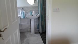 a bathroom with a sink and a shower at Donemark Rise B&B in Bantry