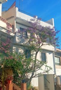 un edificio con un árbol florido delante de él en La Jacaranda, en Casarabonela
