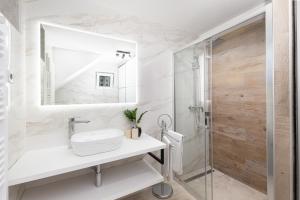 普拉Apartment Ena Near Pula Amphitheater的带水槽和淋浴的浴室