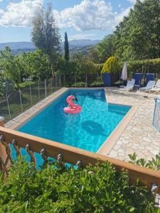 a swimming pool with a pink flamingo in a backyard at Guest House Casa Cassien in Montauroux