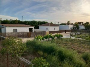 Vonkajšia záhrada v ubytovaní Apartamentos Cala Isabel