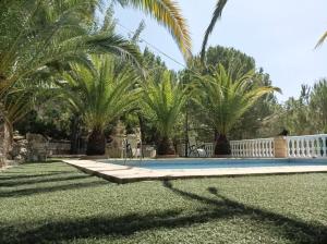 una piscina en un patio con palmeras en Villa Bendición - Subbética Cordobesa en Doña Mencía
