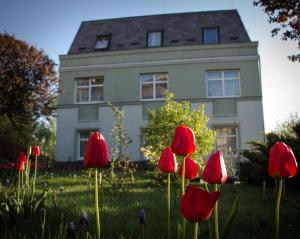Zahrada ubytování Jagelló Business Hotel